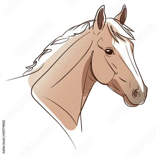 horse