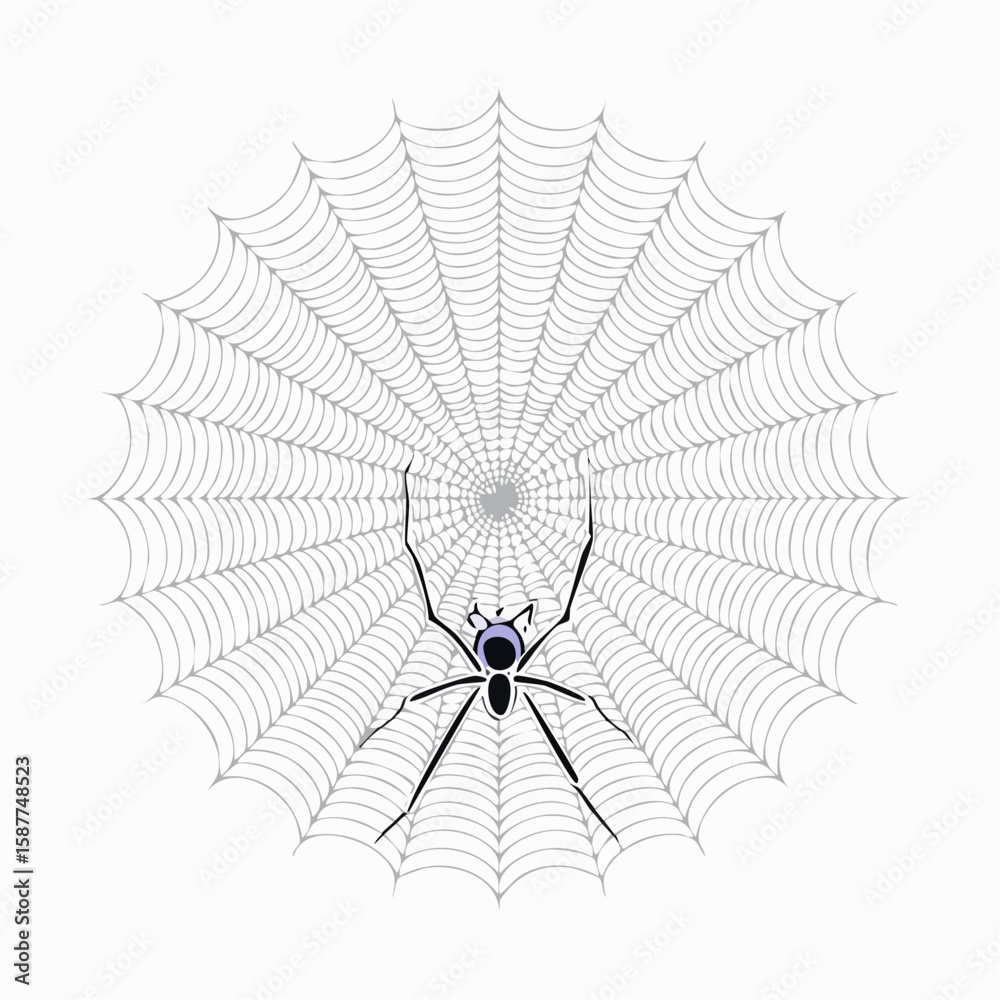 Fototapeta premium Spider captured mid-spin creating geometric web pattern, rendered in technical line style.