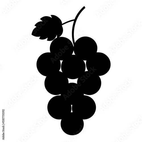 Elegant silhouette of a ripe bunch of grapes hanging from a vine isolated on white background