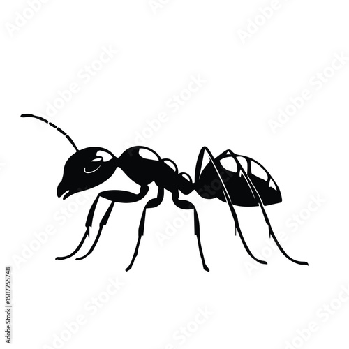 Black and white silhouette of an ant in profile view. Simple, stylized illustration of an ant against a plain background.