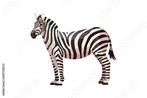 vector cartoon animal isolated on transparent background. 