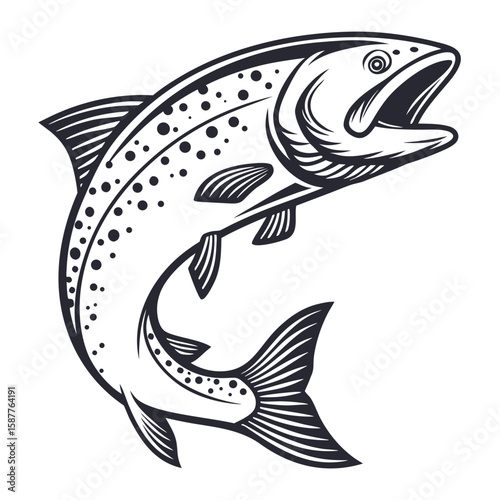 Dynamic black and white illustration of a leaping salmon capturing the power and grace of this iconic fish in motion