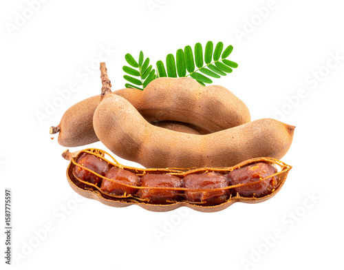 Ripe tamarind fruit pods whole and opened revealing sticky brown pulp and seeds with fresh green leaves.