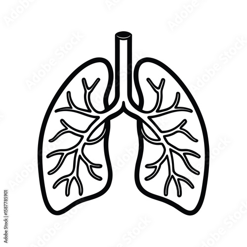 human lung anatomy respiratory system health icon