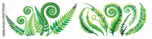 Botanical fern fronds and fiddleheads green set collection nature design vector illustration
