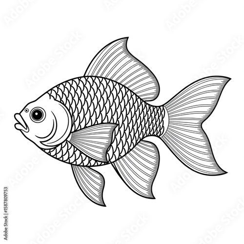 gold fish illustration vector style colouring page