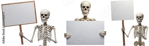 Skeletons holding blank signs on transparent background  