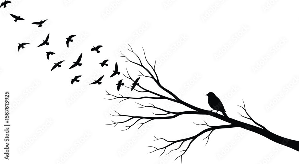 Fototapeta premium Silhouette of a flock of birds flying away from a bare tree branch with one bird perched