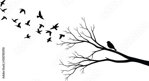 Silhouette of a flock of birds flying away from a bare tree branch with one bird perched