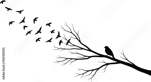 Silhouette of a flock of birds flying away from a bare tree branch with one bird perched