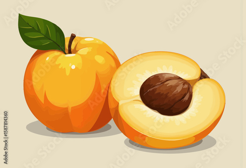 Ripe yellow apricot whole and halved with a brown pit  