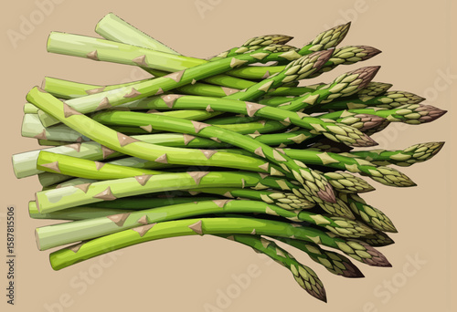 Fresh green asparagus arranged on a neutral background  