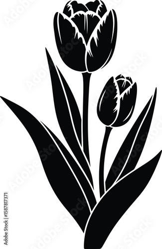 Stylized black silhouette of two tulips with leaves on white background