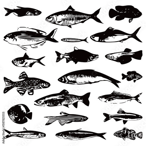 Fish halftone vector