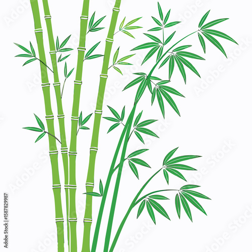 Green bamboo stalks and leaves asian zen garden botanical vector illustration
