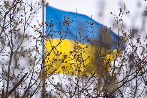 Ukrainian Flag Waving Behind Spring Branches Symbol of Freedom and Resilience