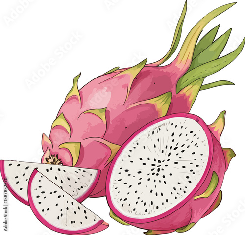 dragon fruit isolated on white background