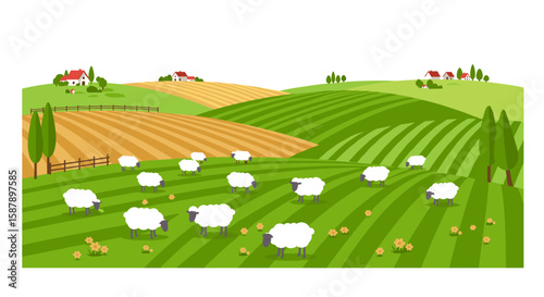 Peaceful sheep grazing in rolling pasture with idyllic farmhouses