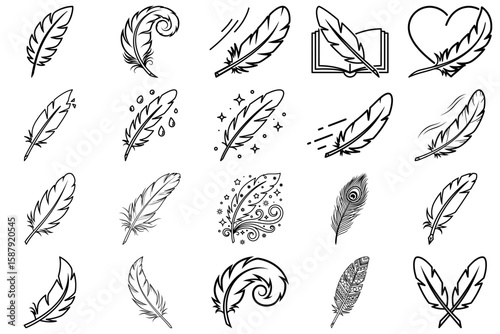 Feather Silhouette Collection: A collection of beautifully drawn feathers, each with unique characteristics and styles, artfully arranged in a display of artistic elegance and whimsical charm.