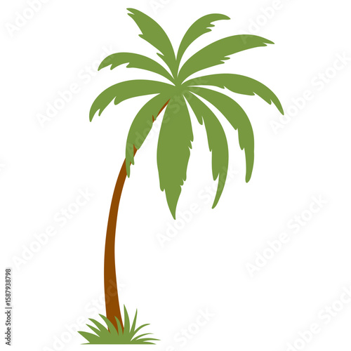 Coconut palm tree vector icon. Palm Tree illustration sign. Palm symbol or logo.
