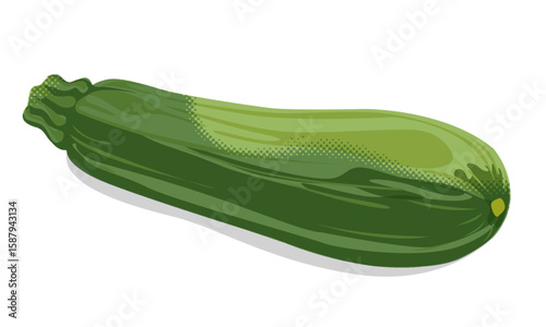 Contemporary Zucchini Collage Element