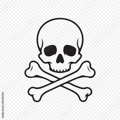 jolly roger pirate flag