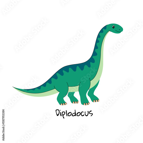 Diplodocus  dinosaur on  white background.