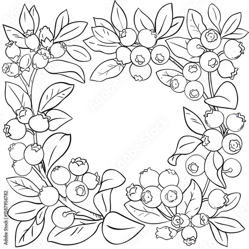Blueberry Branch with Berries and Leaves Outline Frame. Organic natural nutritional healthy food ingredient, vegetarian diet product. Vector isolated for design or decoration.
