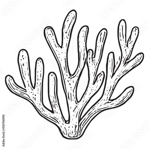 Intricate Hand-Drawn Branching Coral Art for Underwater Design Projects