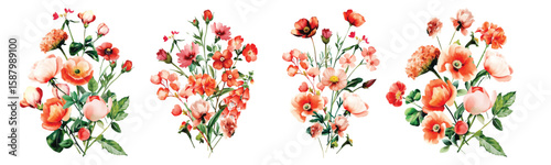 Bouquet Wild Field flowers Watercolor pink illustration Botanical collection of garden plants. Set different wild flowers, branches, herbs and leaves for bouquets and natural elements for cards