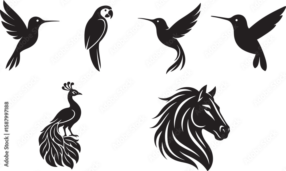 Obraz premium Stylized Animal Silhouettes: Hummingbirds, Parrot, Peacock & Horse Head Vector Set