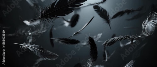 Graceful dark feathers floating in a mysterious deep space, an ethereal abstract background image, delicate and soft.