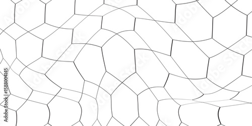 Abstract Irregular Polygon Mesh Pattern – Cracked Organic Cell Structure Background