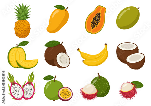 Illustration of various tropical fruits arranged in a grid pattern
