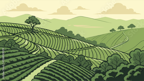 Green landscape of tea plantation fields with trees and hills scenic farm nature background illustration