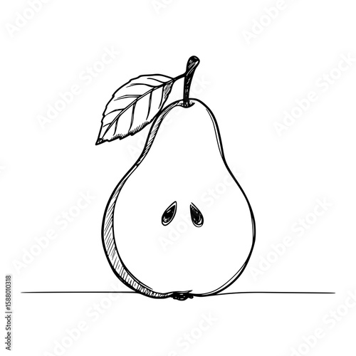 Line drawing of a pear with a leaf, isolated vector image on transparent background