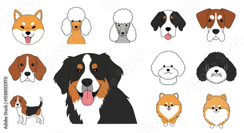 Various cartoon dog breeds illustrated in a colorful style  