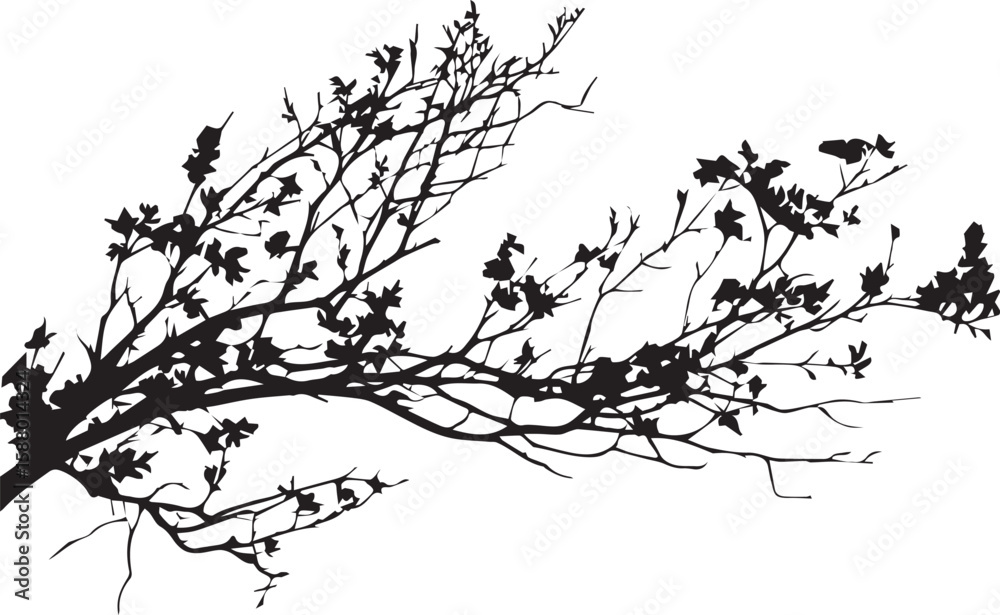 Obraz premium tree branches silhouette