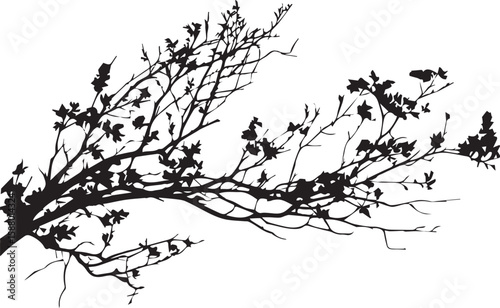 tree branches silhouette