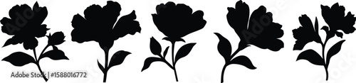 black floral silhouettes, monochrome botanical illustrations, minimalist plant clipart, stylized black and white flower drawings, simple plant icon set, abstract botanical vector graphics
