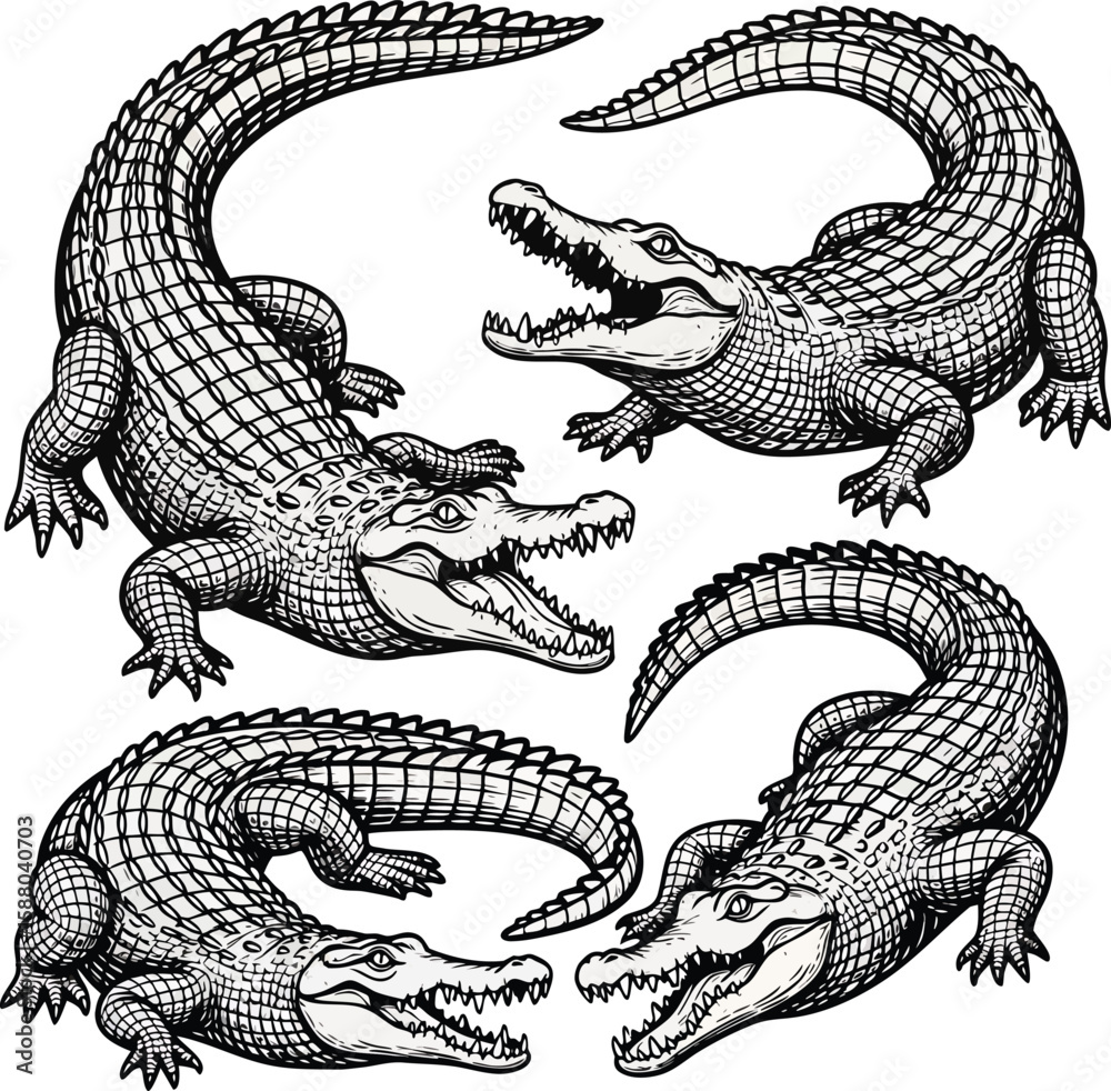 Naklejka premium crocodiles vector design.