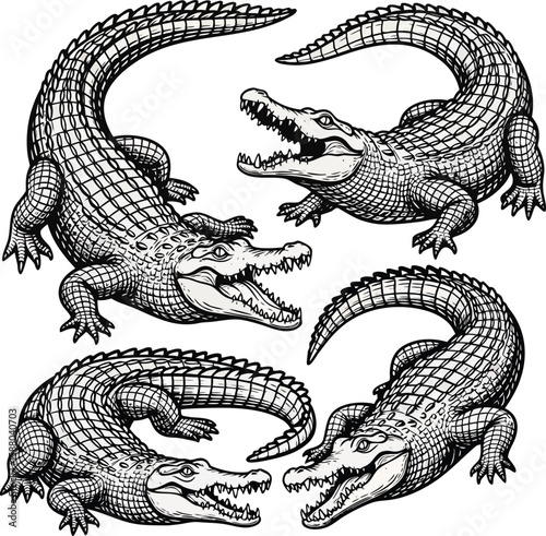 crocodiles vector design.