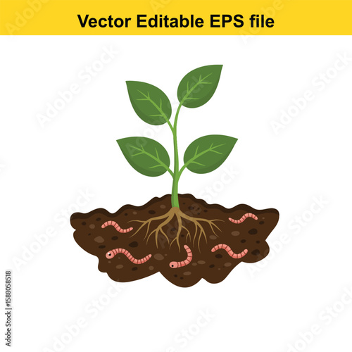 Plant roots and earthworms in fertile soil illustration
