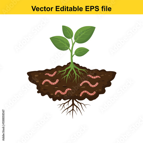 Plant roots and earthworms in fertile soil illustration