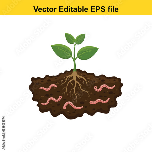 Plant roots and earthworms in fertile soil illustration