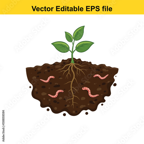 Plant roots and earthworms in fertile soil illustration