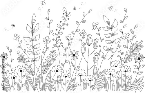 Floral botanical line art. Hand-drawn wild flowers sketch set isolated on white background.
