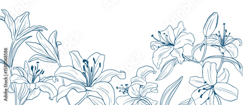 Flower hand drawn on white background vector. Natural botanical elegant lily floral with blue line art. Luxury illustration for decoration, wall decor, wallpaper, cover, banner, package, card.