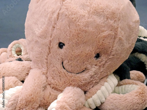 A big head soft colours octopus stuffed toy shooted close up