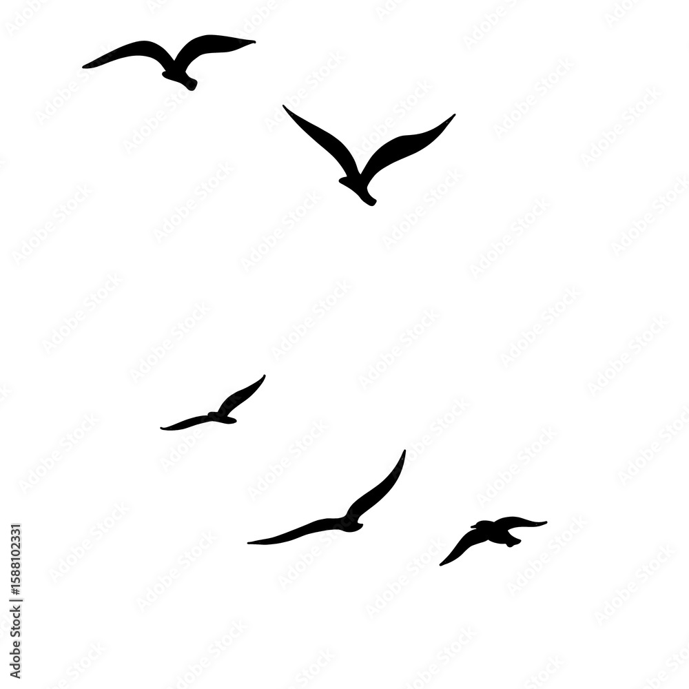 Obraz premium silhouette bird icons